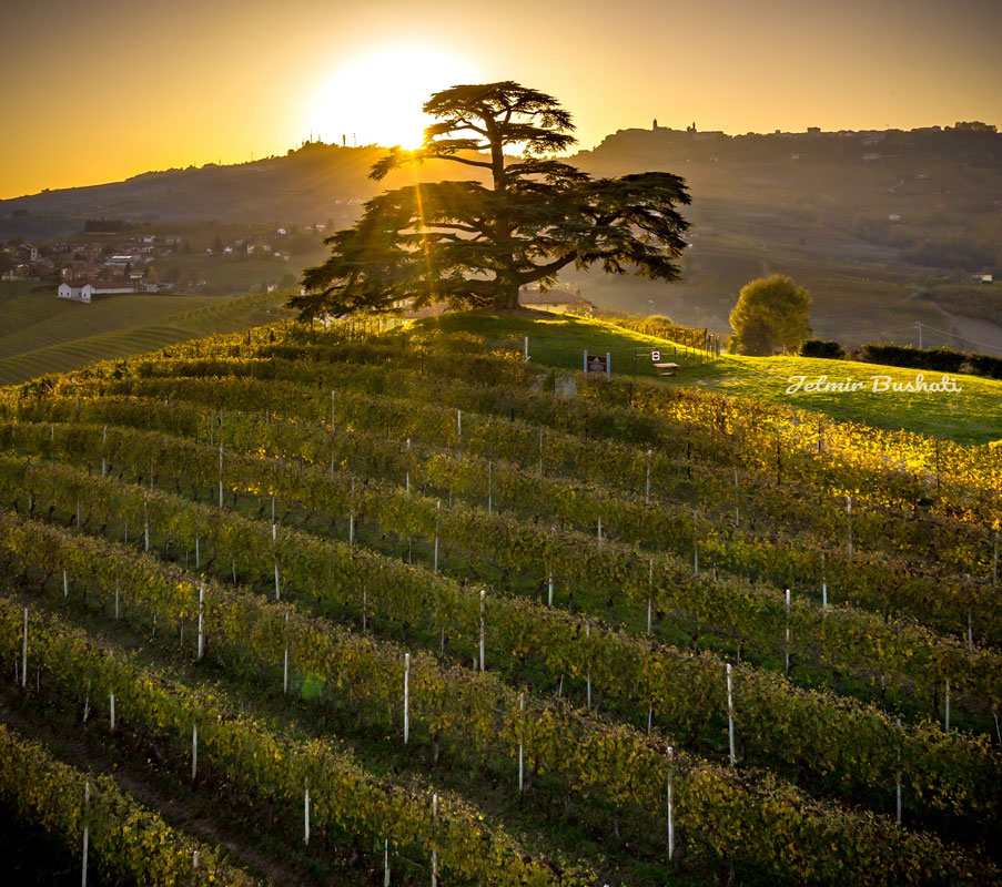 langhe ricevimento langhe - ricevimento aperitivo al tramonto